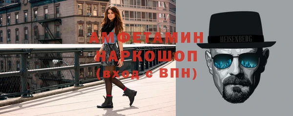 амф Бородино