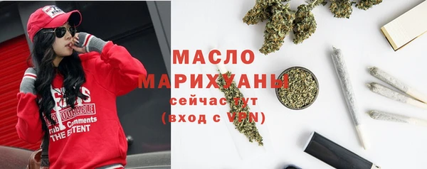 амф Бородино