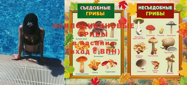 спиды Бронницы