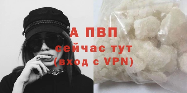 спиды Бронницы