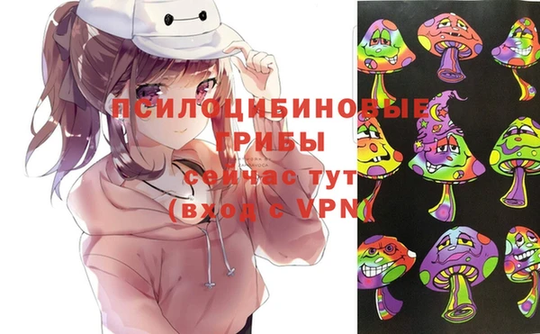 спиды Бронницы