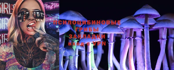 амф Бородино