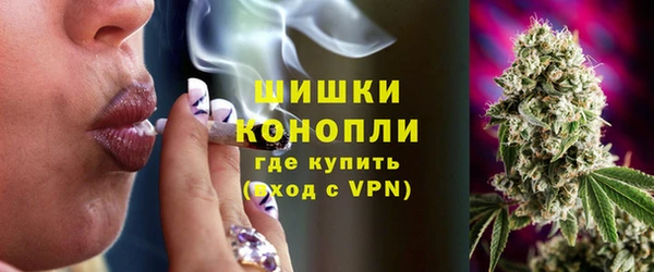 амф Бородино