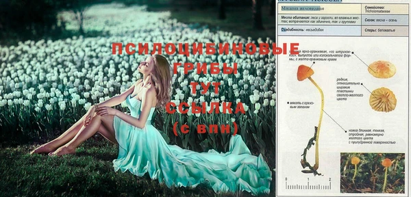 дмт Валдай