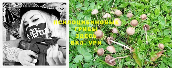 спиды Бронницы