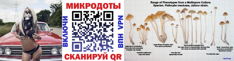наркота  Верея  Галлюциногенные грибы прущие грибы 