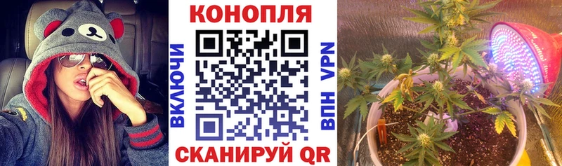 закладка  Верея  Марихуана Bruce Banner 